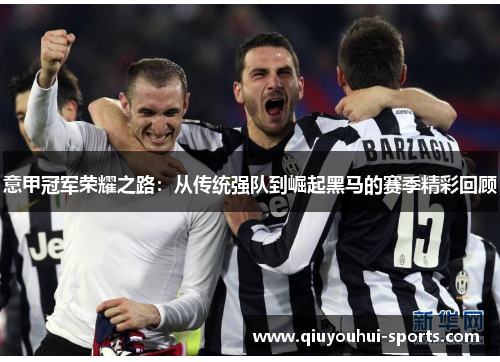 意甲冠军荣耀之路：从传统强队到崛起黑马的赛季精彩回顾